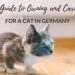 buy a maine coon cat in germany