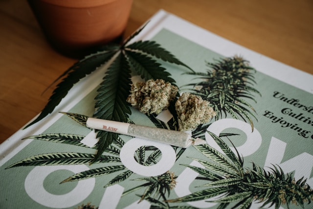 Cannabis law in Germany